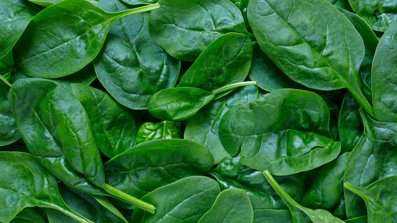 spinach as a close up