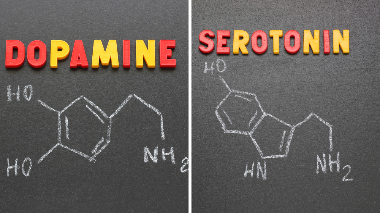 chemical structures of dopamine and sertonin