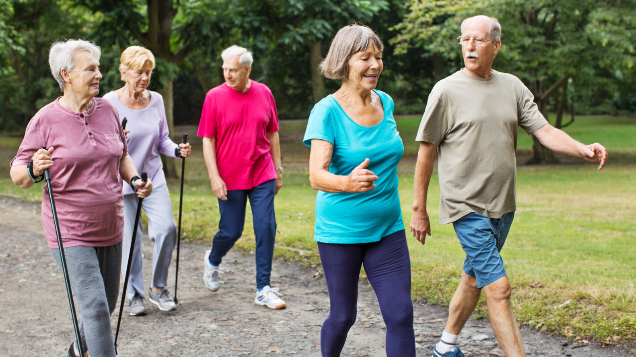 group of older adults walking in a park