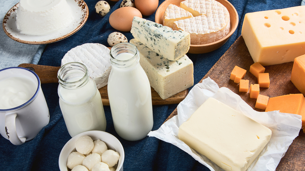 different dairy products shown like milk,egg, cheese