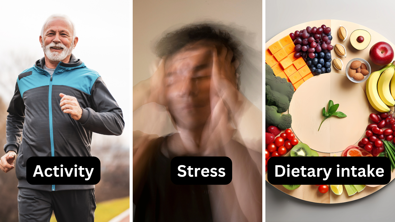 three scenarios of diet, stress and activity