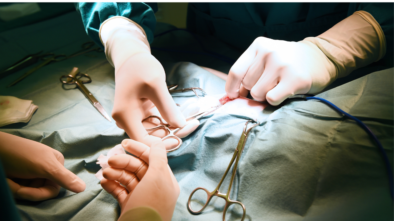 doctor's hands performing surgery