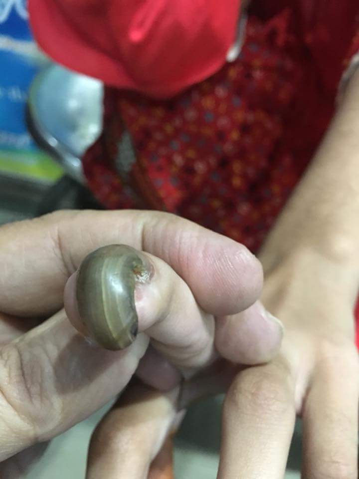 curved thick nails